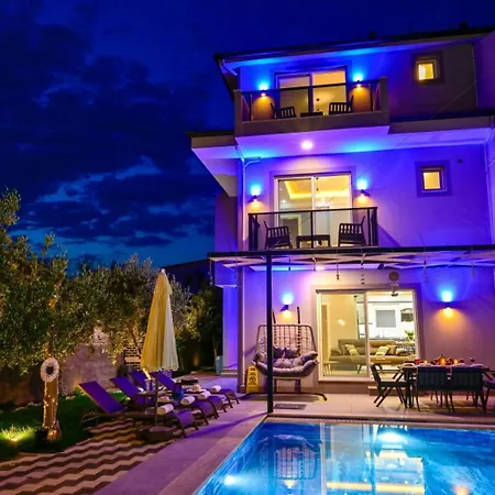 Venus 1 Villa Eskiomerler